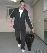 Превью фото № 130952