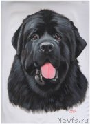 Превью фото № 130992