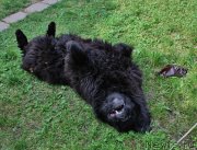 Превью фото № 131037