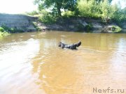 Превью фото № 131057