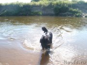 Превью фото № 131081