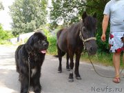 Превью фото № 131085