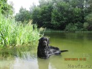 Превью фото № 131125