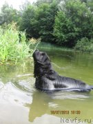 Превью фото № 131126