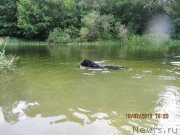 Превью фото № 131138