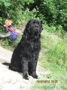 Превью фото № 131139