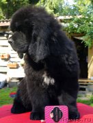 Превью фото № 131153