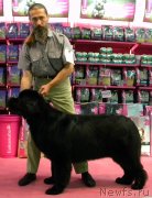 Превью фото № 131163