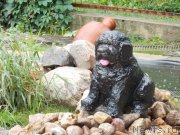 Превью фото № 131183