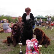 Превью фото № 131230