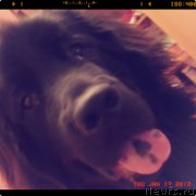 Превью фото № 131296