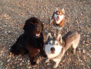 Превью фото № 131299