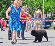 Превью фото № 131303