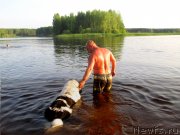 Превью фото № 131304