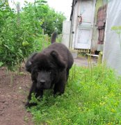 Превью фото № 131358