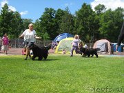 Превью фото № 131465