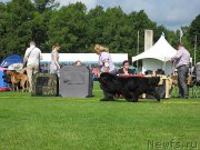 Превью фото № 131466