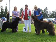 Превью фото № 131473