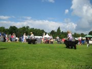 Превью фото № 131477