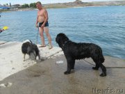 Превью фото № 131488