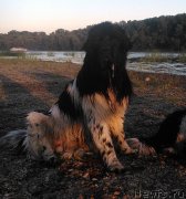 Превью фото № 131538