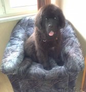 Превью фото № 131540