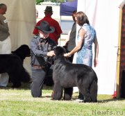 Превью фото № 131548