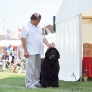 Превью фото № 131551