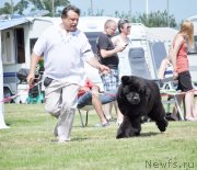 Превью фото № 131552