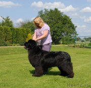 Превью фото № 131558