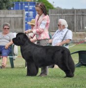 Превью фото № 131579