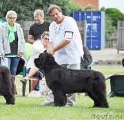 Превью фото № 131582