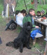 Превью фото № 131583