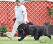 Превью фото № 131584