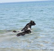 Превью фото № 131587