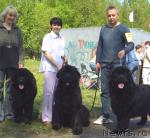 Превью фото № 13161