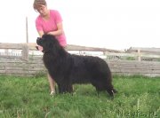 Превью фото № 131611