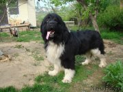 Превью фото № 131642