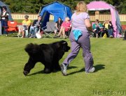 Превью фото № 131687