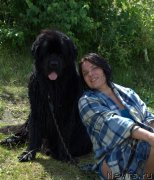 Превью фото № 131698