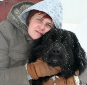 Превью фото № 131700