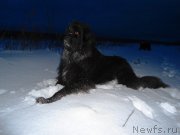 Превью фото № 131701