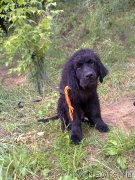 Превью фото № 131744