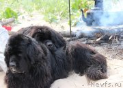 Превью фото № 131748