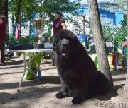 Превью фото № 131750