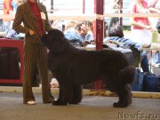 Превью фото № 131781