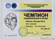 Превью фото № 131825