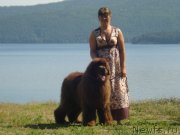 Превью фото № 131841