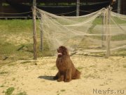 Превью фото № 131843