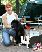 Превью фото № 131869